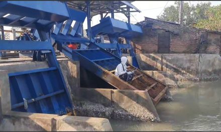 Jembatan Kali Panggung Jepara Tempat Mancing Yang Mengasyikkan , Ada Yang Dapat Ikan Besar