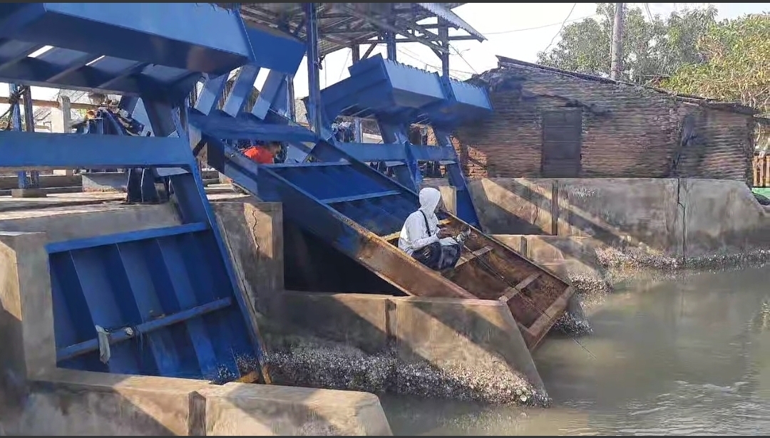 Jembatan Kali Panggung Jepara Tempat Mancing Yang Mengasyikkan , Ada Yang Dapat Ikan Besar