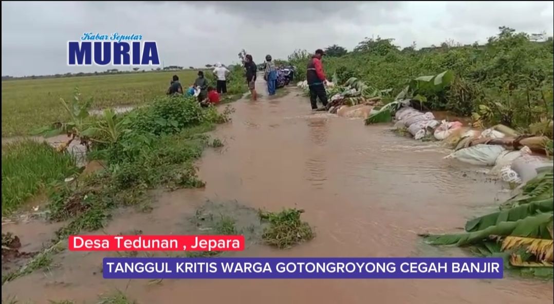 Kades Tedunan Jepara Minta Sungai Jratun Dinormalisasi Segera