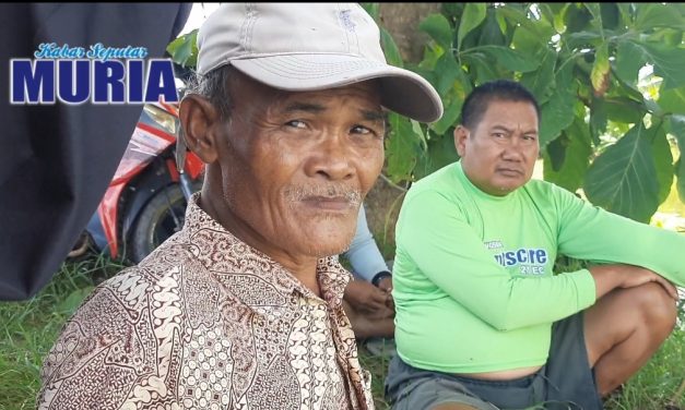 Mbah Jalal Petani Tulen dari Desa Ujungpandan Jepara , Garap Sawah Mulai Usia 23 Tahun