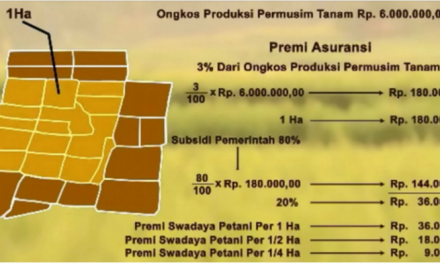 Sekilas Info , Asuransi Usaha Tani Padi, Solusi Kegagalan Panen