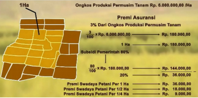 Sekilas Info , Asuransi Usaha Tani Padi, Solusi Kegagalan Panen