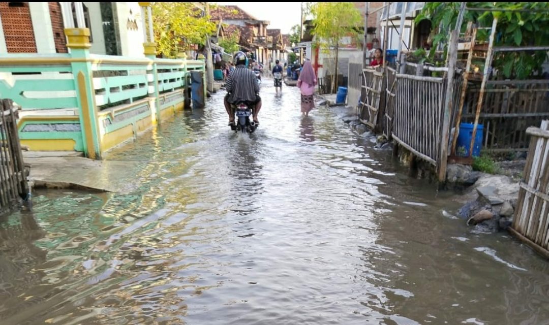 Rob Tinggi !!!! Jalan Kampung dan Rumah Warga Desa Babalan Demak  Tergenang