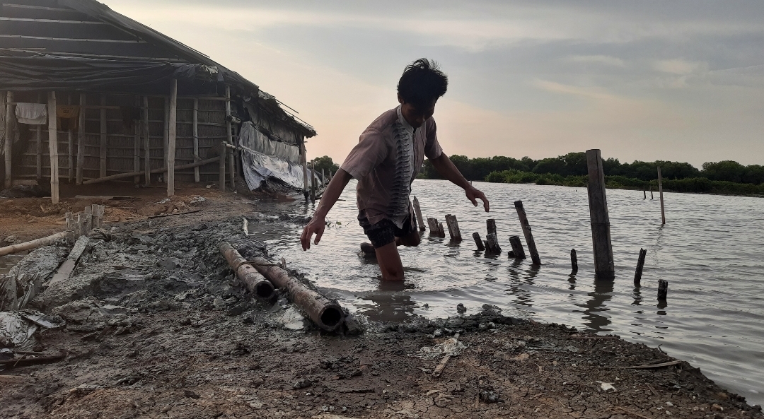 Rob Tinggi Tinggi Tenggelamkan Puluhan Hektar Tambak Garam Di Demak