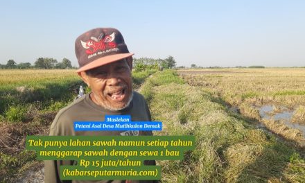 Petani  Ini Tak Punya Lahan , Namun Tiap Tahun Garap Sawah