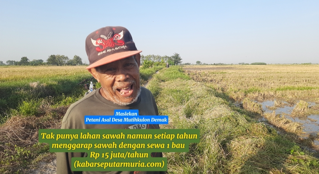 Petani  Ini Tak Punya Lahan , Namun Tiap Tahun Garap Sawah