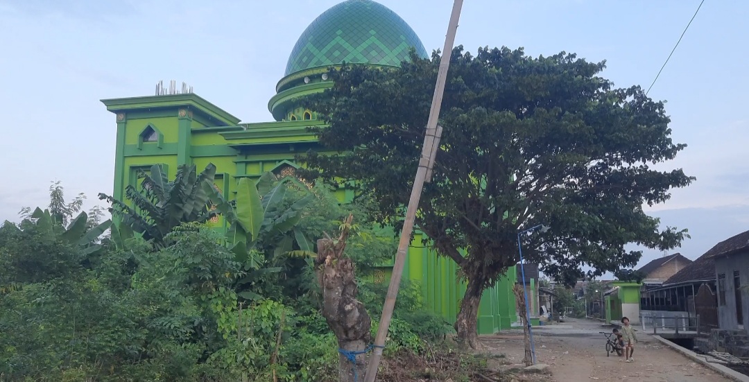 Masjid Jami’ Baitun Nur Desa Tedunan Demak Hijau Megah Usai Di Renovasi