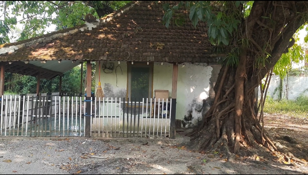 Makam Mbah Jogo Wongso Teluk Awur Jepara , Ada Guci Bersinar Di bawah Pohon Besar