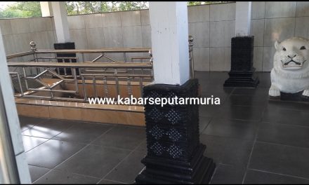 Ada Makam Mbah Macan di Desa  Bungo Demak, Makamnya Mbah Driyo Wongso