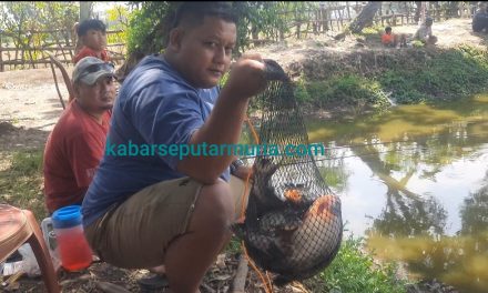 Lomba Mancing HUT Kemerdekaan RI  di  Kolam Warung Makan Kalinyamatan Jepara