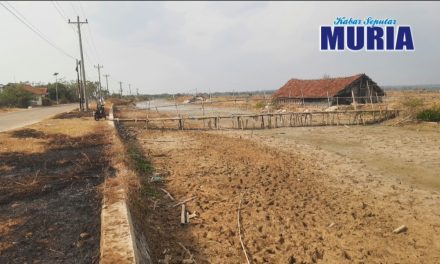 Saluran Air Dangkal Ganggu Produksi Garam Rakyat di Jepara, Petambak Harapkan Normalisasi