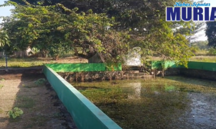 Melihat Dari Dekat Makam atau Petilasan Dewi Amiswati di Dukuh Ketapang Berahan Wetan Demak