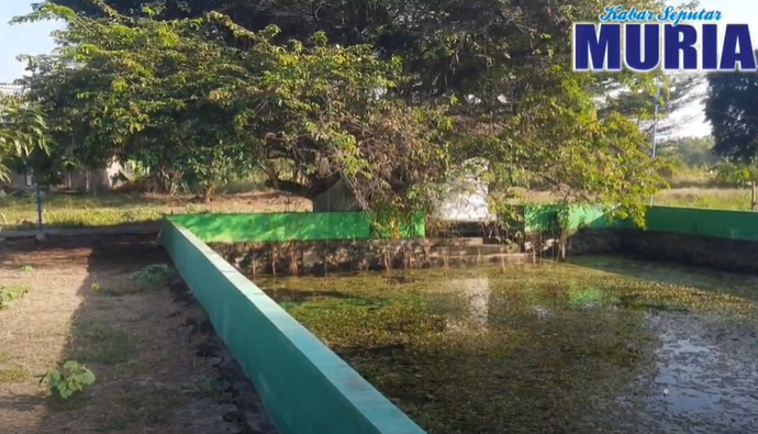 Melihat Dari Dekat Makam atau Petilasan Dewi Amiswati di Dukuh Ketapang Berahan Wetan Demak