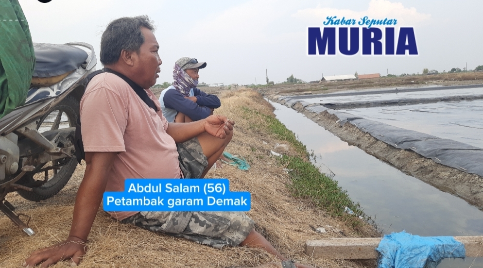 Meski Mulai Hujan Petambak Garam Demak Masih Tunggu Panas Kembali