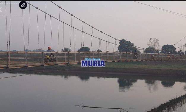 Pagi Hari di Jembatan Gantung Mbungpis Gerdu Jepara Macet , Pemotor Harus Antri