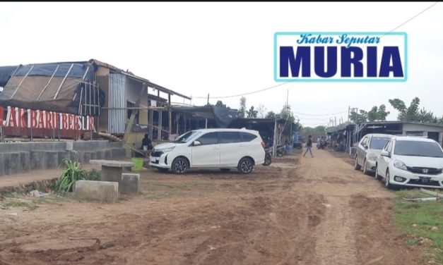 Pantai Segoro Bulak Baru Jepara Semakin Ramai  , Parkir Gratis Ada Tempat Pengunjung Bersantai