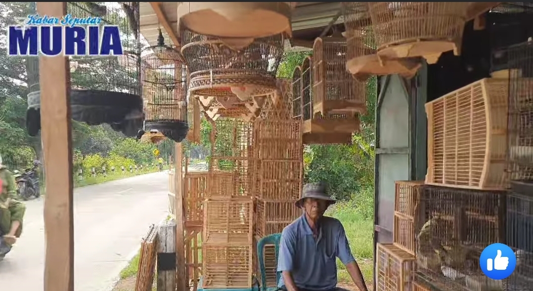 Kedai “Burung”  Pak Haji Yahya Kaliombo Jepara , Sediakan Pakan dan Aneka Burung