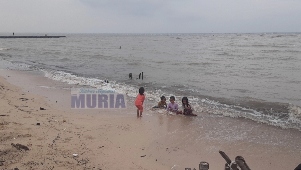 Inilah Kondisi Pantai 1000 Ranting Panggung Jepara Di Musim Angin Barat