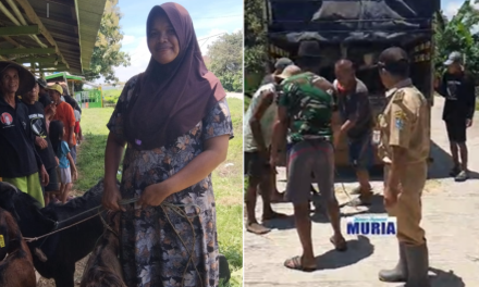 Mbak Umi Salamah Warga Mutih Kulon Gembira !!! Terima Bantuan 3 Ekor Kambing Program Banter Melaju
