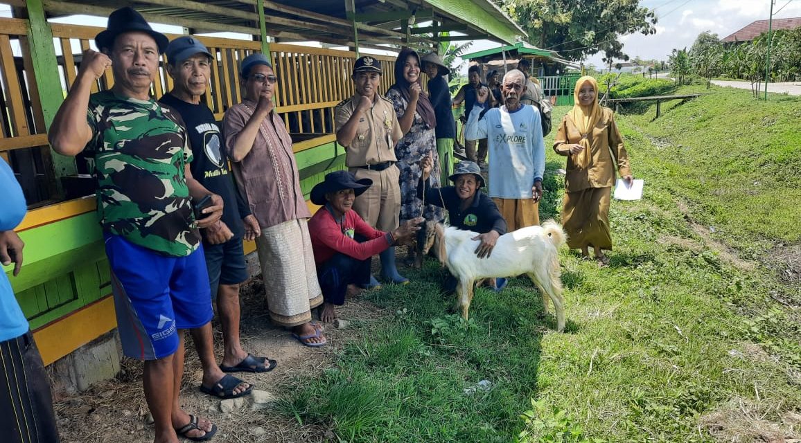 Warga Desa Mutih Kulon Demak , Terima Bantuan 30  ekor Kambing dalam  Progam  BANTER MELAJU