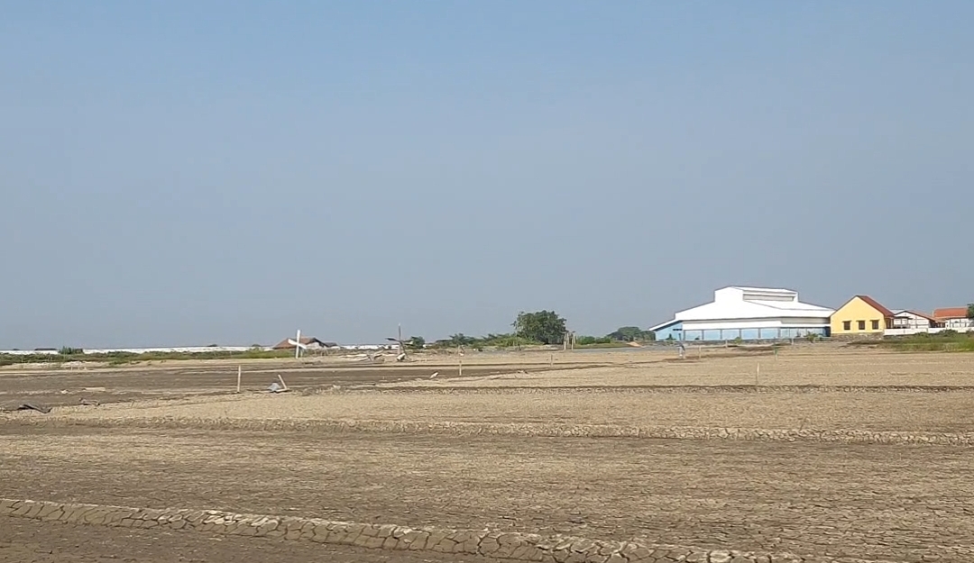 Meski Harga Garam Rendah Petambak Garam Tetap Semangat Produksi Garam