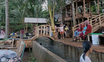 Pesona Alam di Wisata Tengger Sawah (WTS) Surga Tersembunyi di Jepara