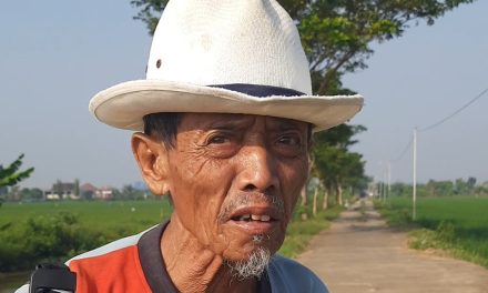 Cerita Mbah Ahmad Fayumi Petani Tedunan Jepara , “ Saat Ini Pupuk Subsidi Mudah Membelinya”