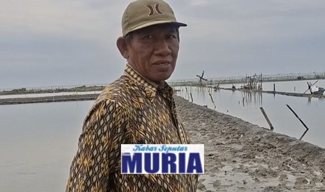 Abrasi Desa Surodadi Jepara  Butuh Perhatian , Pantai Dekati Pemukiman Warga