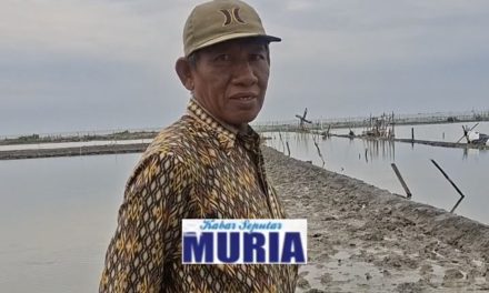 Abrasi Desa Surodadi Jepara  Butuh Perhatian , Pantai Dekati Pemukiman Warga