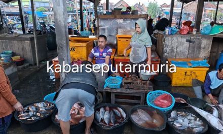 Pasar Angin Angin Buko Demak , Pusat Kulakan Aneka Ikan