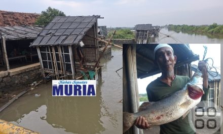 Asyiknya BranjangAnco di Kaligawe Surodadi Jepara , Ada Yang Dapat Kakap Putih