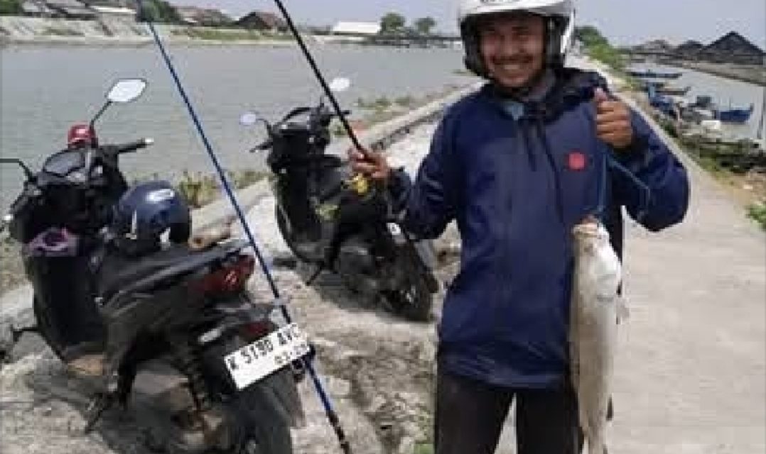 Spot Mancing Di  Sungai Desa Kedungkarang Demak Tak Bayar dan Motor Aman
