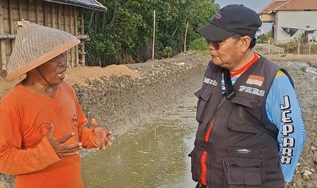 Harga Garam di Jepara Rp  600 Rupiah Per Kg,  Baru Kembali Modal Bagi Petambak