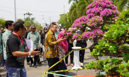 Bupati Pati Apresiasi Kontes Bonsai Tingkat Nasional