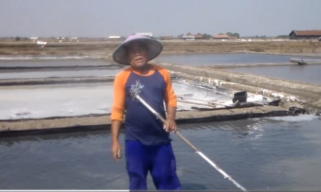 Masih Ada Hujan , Petambak Garam Demak Tak Jual Semua Hasil Panen
