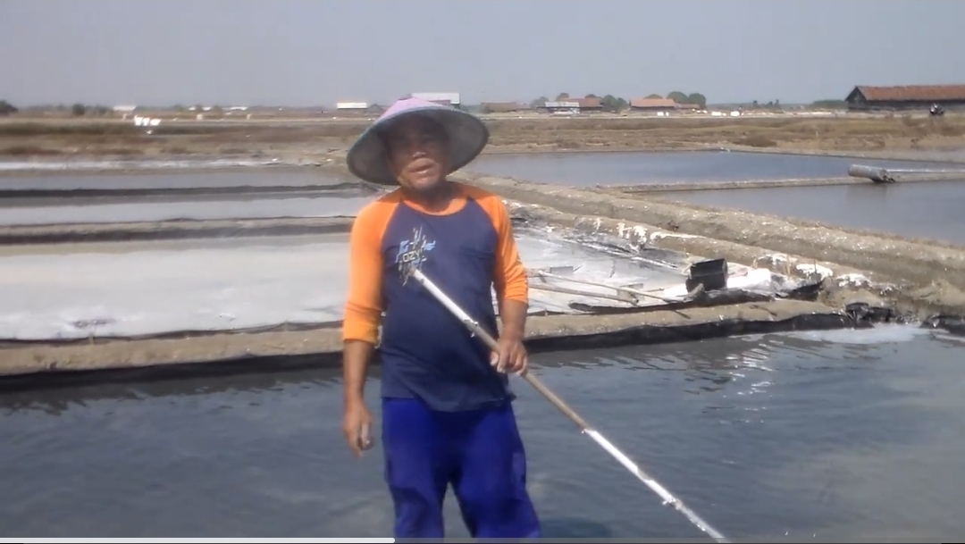 Masih Ada Hujan , Petambak Garam Demak Tak Jual Semua Hasil Panen