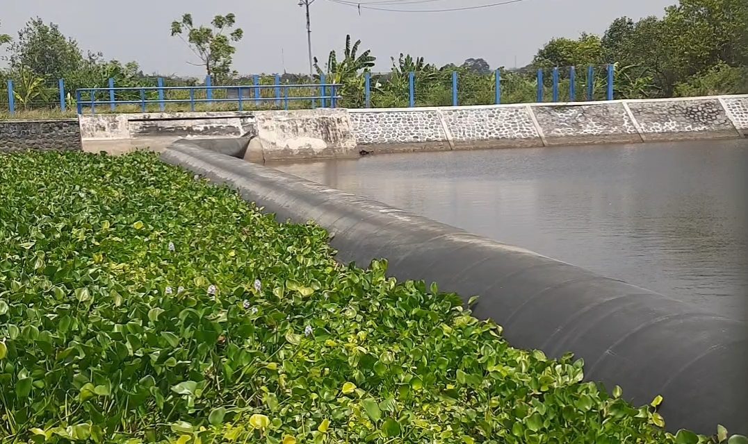 Bendung Karet Kumpulan Tak Sembarang Buka , Harus Ada Aturannya Agar Aman