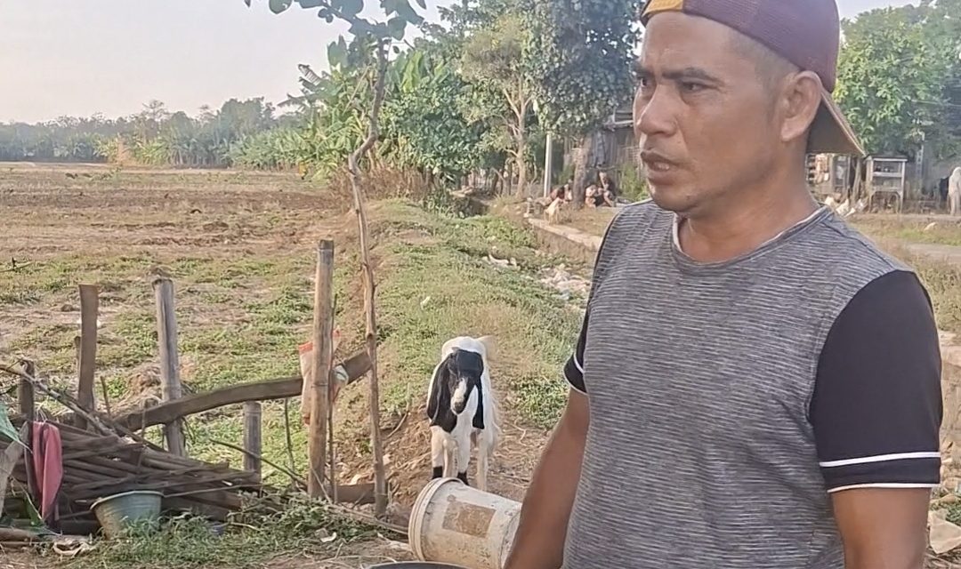 Bang Yono Warga Sowan Kidul Jepara , Rejekinya dari Ternak Kambing