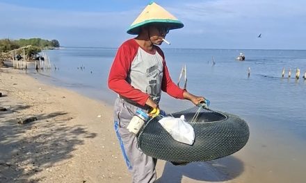 Mbah Markono Warga Bungo Demak Cari Kerang Tahu Hingga Perairan Jepara