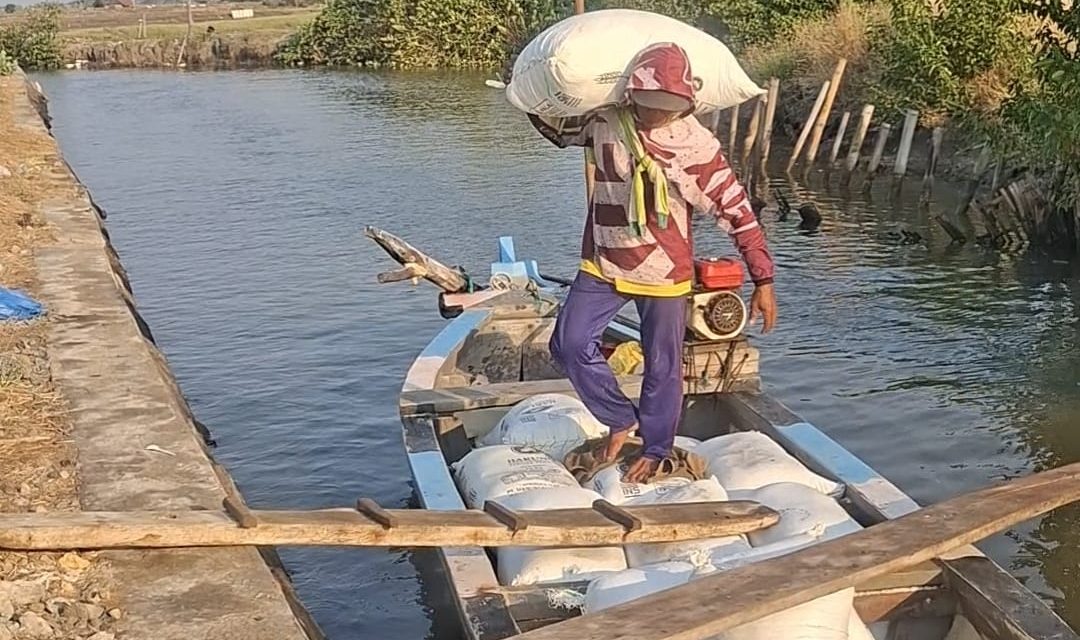 Desa Kendalasem Demak Desa Penghasil Garam , Angkut Garam Dengan Perahu