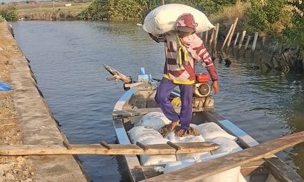 Desa Kendalasem Demak Desa Penghasil Garam , Angkut Garam Dengan Perahu