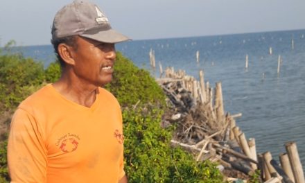 Kisah Suharto  Atasi Tambaknya Yang Digempur Abrasi di Desa Kedungmalang Jepara