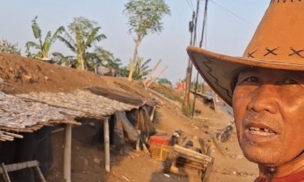 Pak Bajuri Kedungmalang Lebih 5 Tahun Usaha Pengeringan Ikan ,