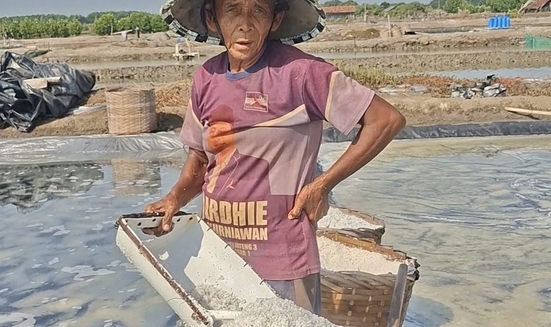 Angkut Garam Dari Lahan Ke Gudang , Bapak Ini Sehari Kantongi Uang Rp 200 Ribu