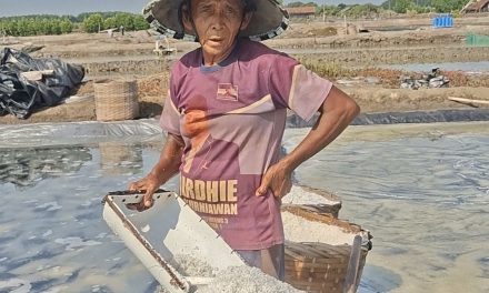 Angkut Garam Dari Lahan Ke Gudang , Bapak Ini Sehari Kantongi Uang Rp 200 Ribu