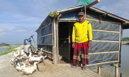 Ternak Menthog Gampang Perekor Capai Rp 250 Ribu