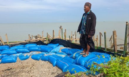 Tambak Jebol Terkena Abrasi , Ini Yang Dilakukan Pak Muchsin Warga Desa Panggung Jepara