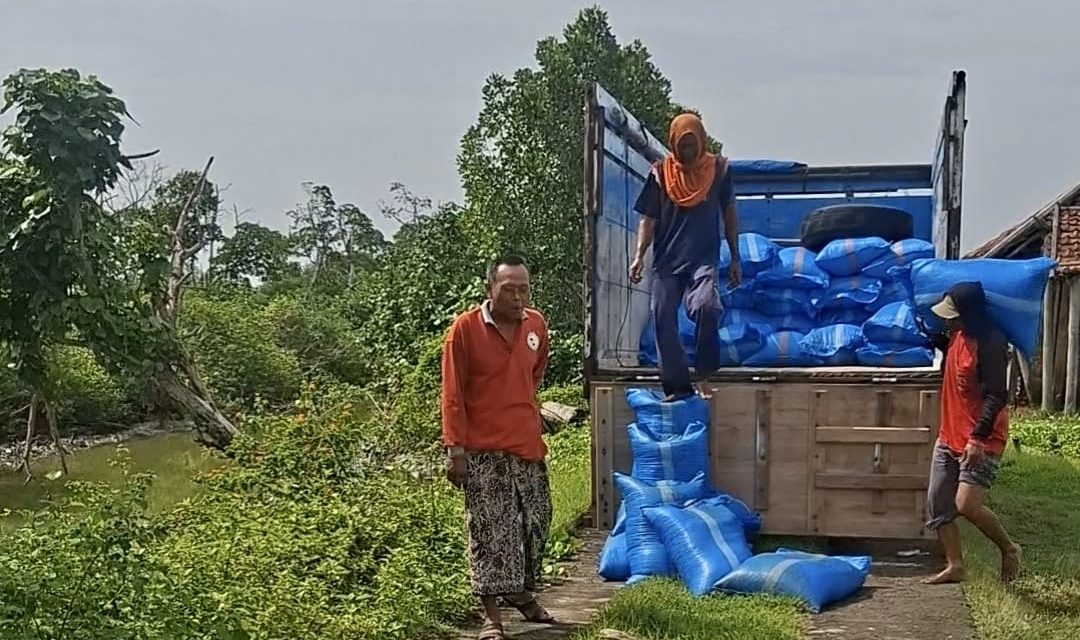 Musim Hujan Tiba Harga Garam Jepara Mulai Naik, KW 2 Diatas Truk Rp 2.400/Kg