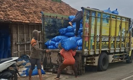 Harga Garam di Jepara Terus Naik , KW 1 Perkwintal Rp 260 Ribu