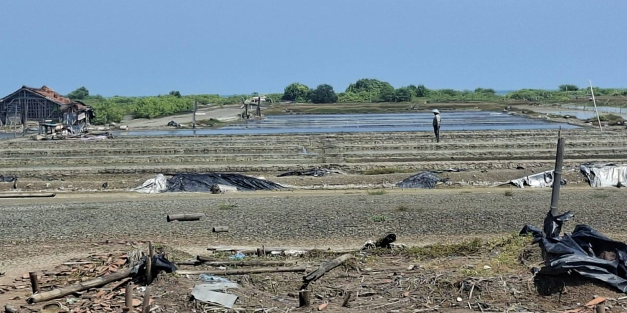 Musim Hujan Reda Petambak Garam Jepara Mulai Garap Lahan,  Agar Panen Awal
